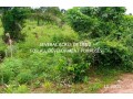 over-1000-building-plots-available-for-sale-at-pakyi-no1-kumasi-ashanti-region-all-land-title-documents-available-small-0