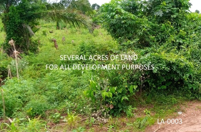 over-1000-building-plots-available-for-sale-at-pakyi-no1-kumasi-ashanti-region-all-land-title-documents-available-big-0