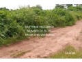 building-plots-available-at-pakyi-no1-kumasi-for-sale-size-90ft-by-80ft-also-available-in-acres-for-all-building-and-development-activities-small-0