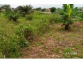 building-plot-of-land-at-ahenema-kokoben-aboabota-plot-size-110ft-by-90ft-small-0